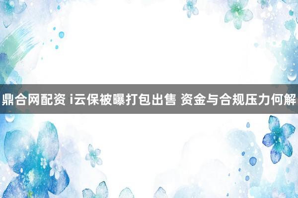 鼎合网配资 i云保被曝打包出售 资金与合规压力何解