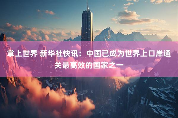 掌上世界 新华社快讯：中国已成为世界上口岸通关最高效的国家之一