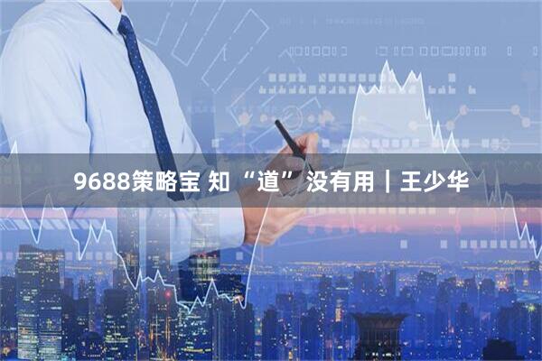 9688策略宝 知 “道” 没有用｜王少华
