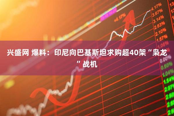 兴盛网 爆料：印尼向巴基斯坦求购超40架“枭龙”战机
